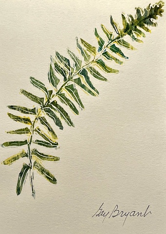 WL Christmas Fern1