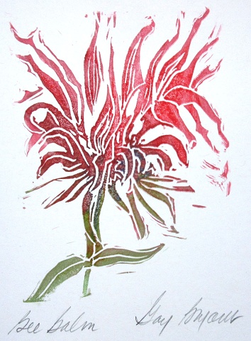 Bee Balm3